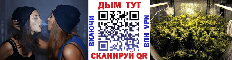 Шишки марихуана план Николаевск-на-Амуре